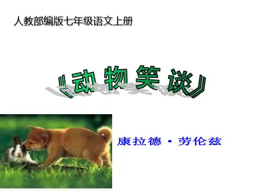 人教部编版七年级语文上册17 《动物笑谈》课件(共23张ppt)