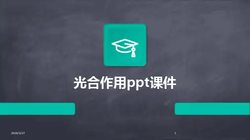 光合作用ppt课件-2024鲜版