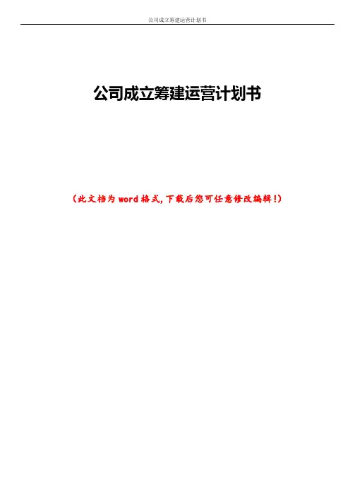 公司成立筹建运营计划书