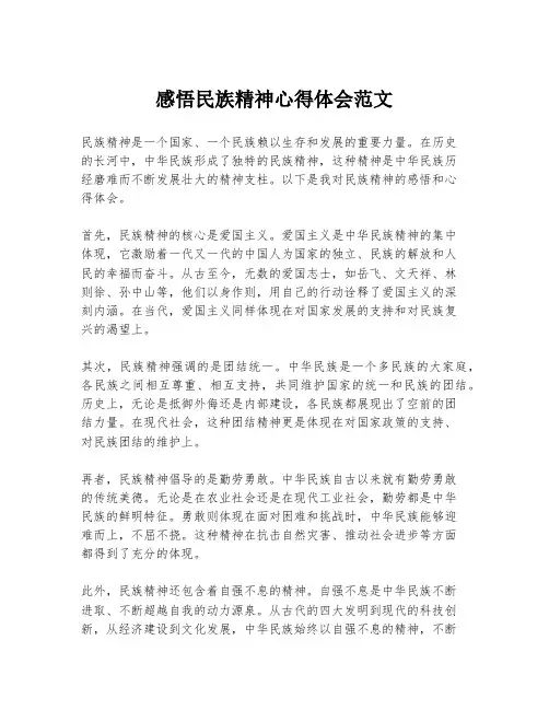 感悟民族精神心得体会范文