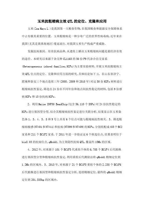 玉米抗粗缩病主效QTL的定位、克隆和应用