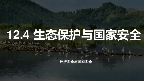 高考地理一轮复习课件生态保护与国家安全
