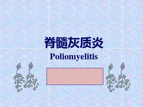 脊髓灰质炎课件
