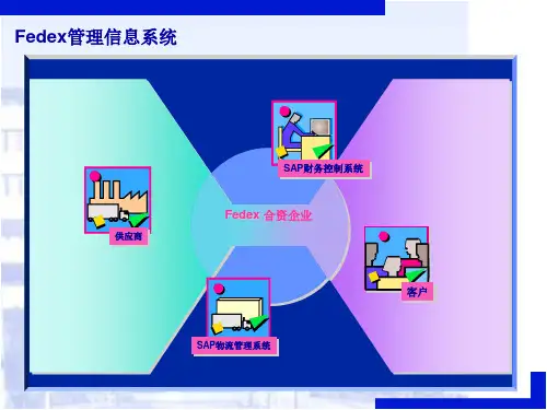 FedexSAP财务控制系统47页PPT