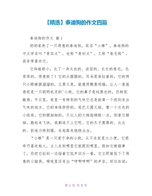 【精选】泰迪狗的作文四篇