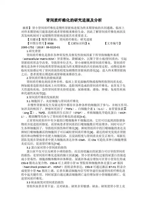 肾间质纤维化的研究进展及分析