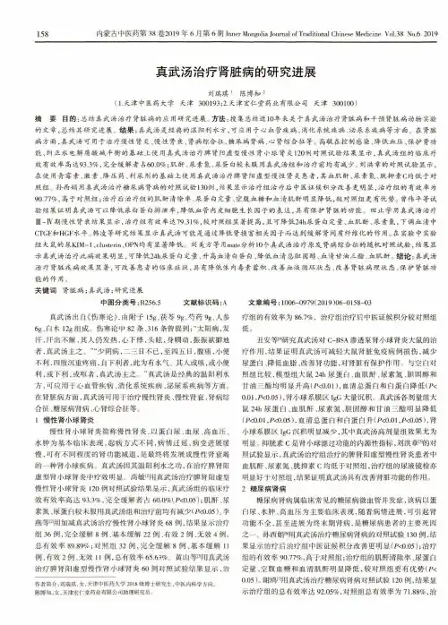 真武汤治疗肾脏病的研究进展