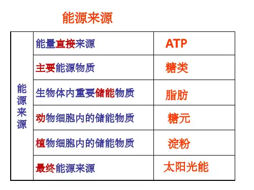 高一生物必修一细胞呼吸PPTppt课件