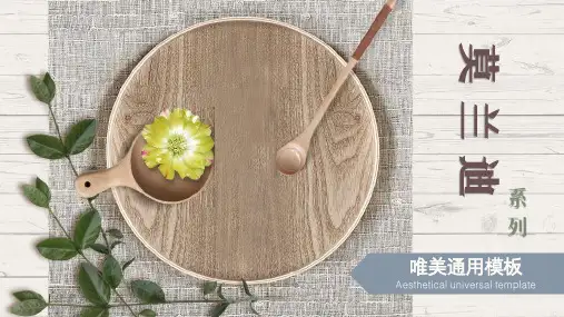莫兰迪小清新唯美通用ppt模板