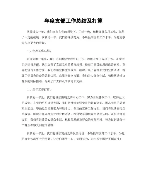 年度支部工作总结及打算