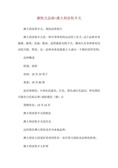 澳牧犬品相-澳大利亚牧羊犬