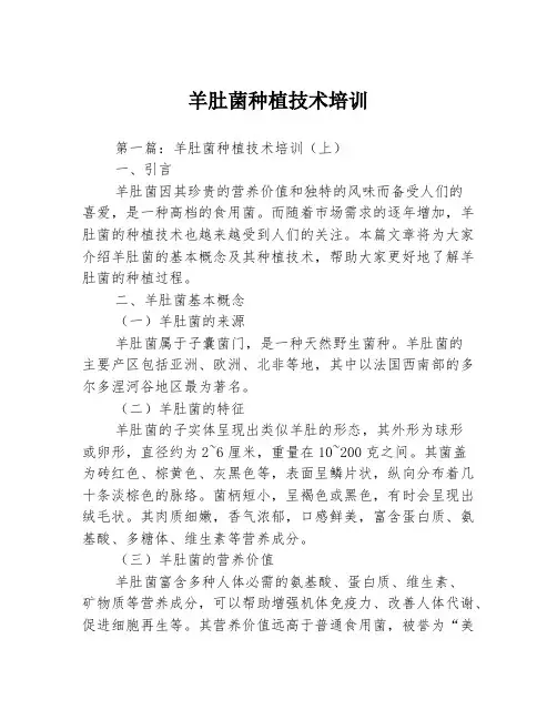 羊肚菌种植技术培训