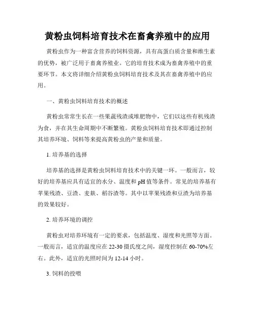 黄粉虫饲料培育技术在畜禽养殖中的应用