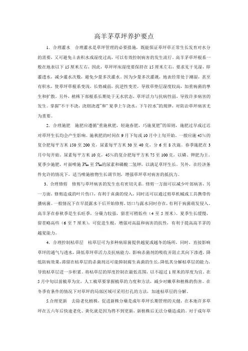 高羊茅草坪养护