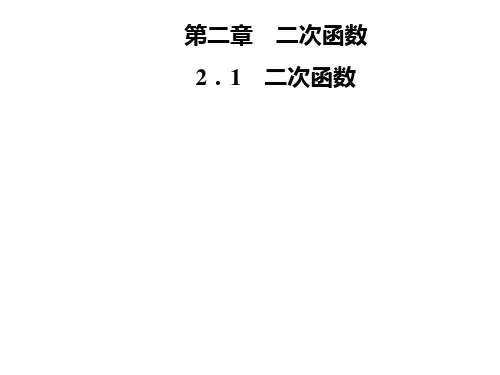 九年级数学北师大版下册课件：第二章 2.1 二次函数(共24张PPT)