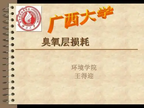 O3层损耗