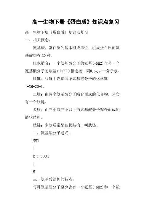 高一生物下册《蛋白质》知识点复习