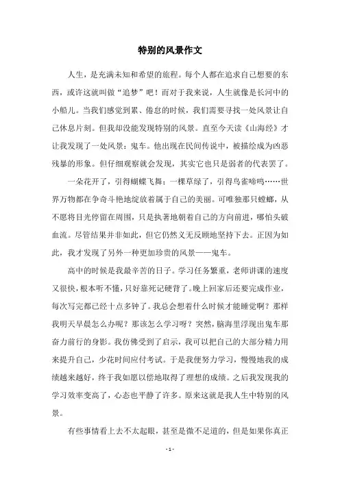 特别的风景作文