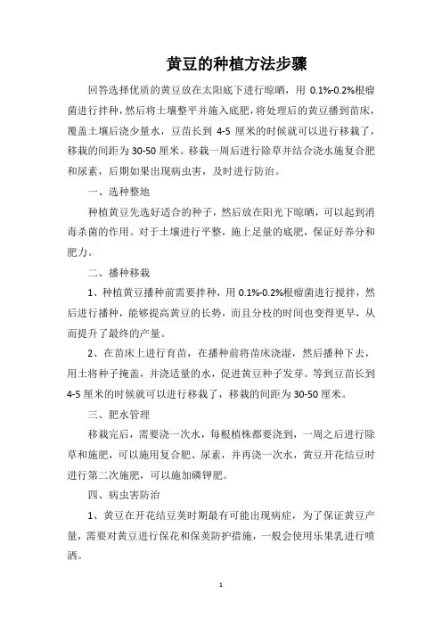 黄豆的种植方法步骤