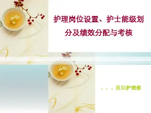 护理岗位设置护士能级划分及绩效分配与考核ppt课件