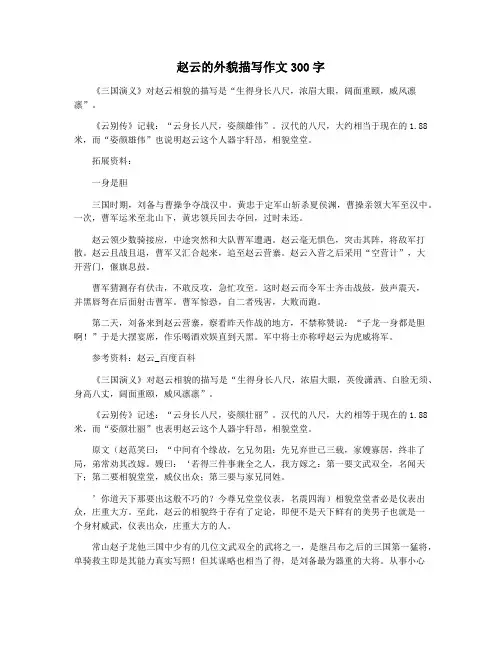 赵云的外貌描写作文300字