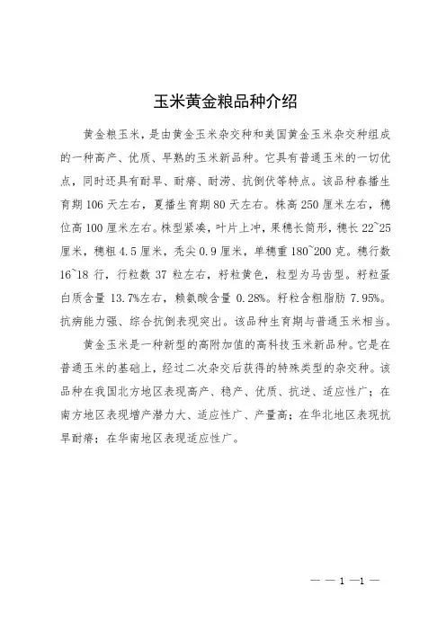 玉米黄金粮品种介绍