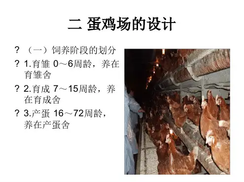 蛋鸡场的设计讲解