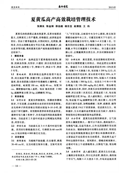 夏黄瓜高产高效栽培管理技术