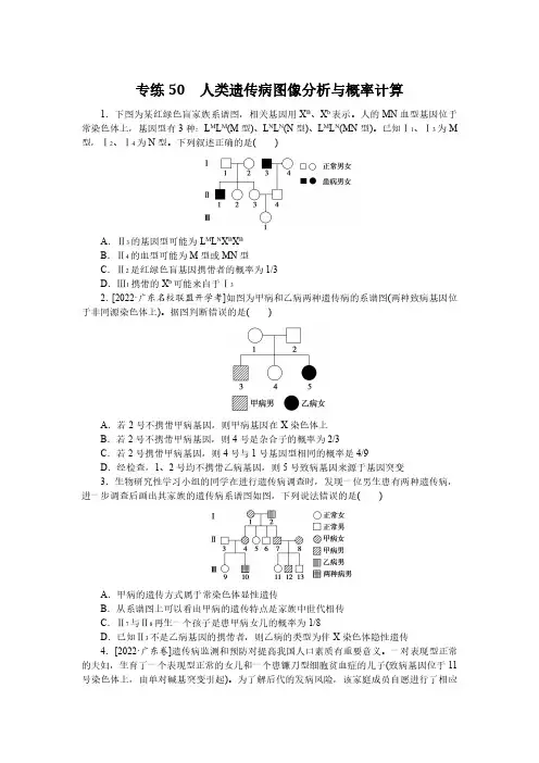 人类遗传病图像分析与概率计算 高中生物专题精练