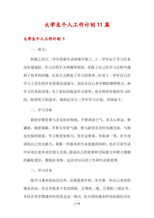 大学生个人工作计划11篇