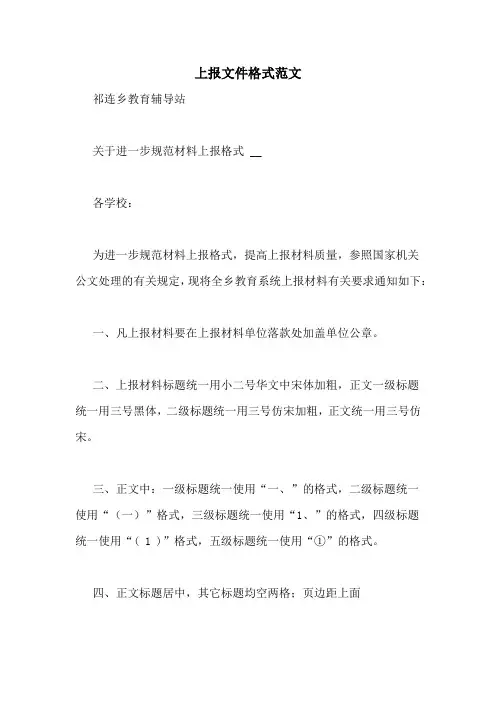 上报文件格式范文