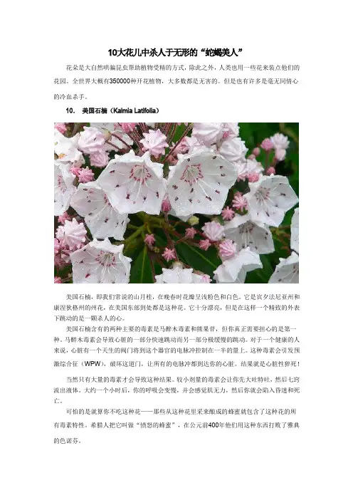 10大花儿中杀人于无形的“蛇蝎美人”