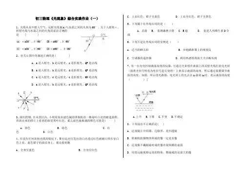 初三物理《光现象》综合实践作业