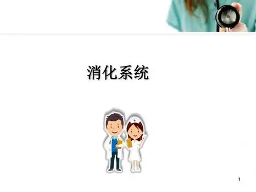 (医学课件)正常人体解剖学 消化系统
