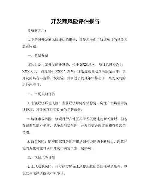 开发商风险评估报告
