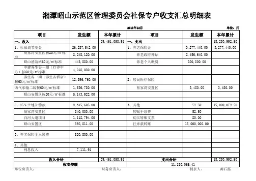 社保专户12月汇总收支明细表