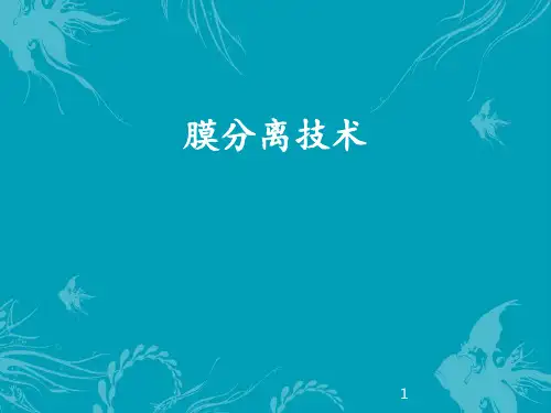 膜分离技术  ppt课件