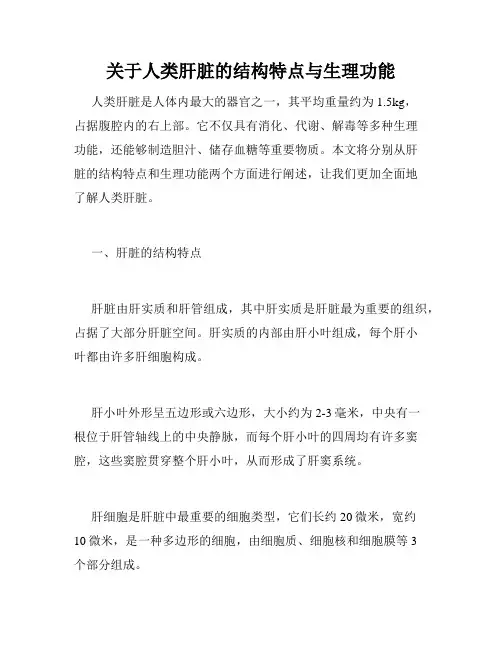 关于人类肝脏的结构特点与生理功能