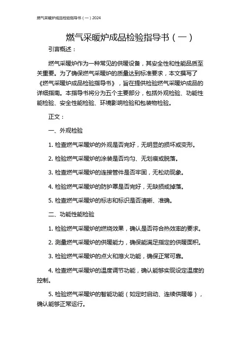 燃气采暖炉成品检验指导书(一)2024
