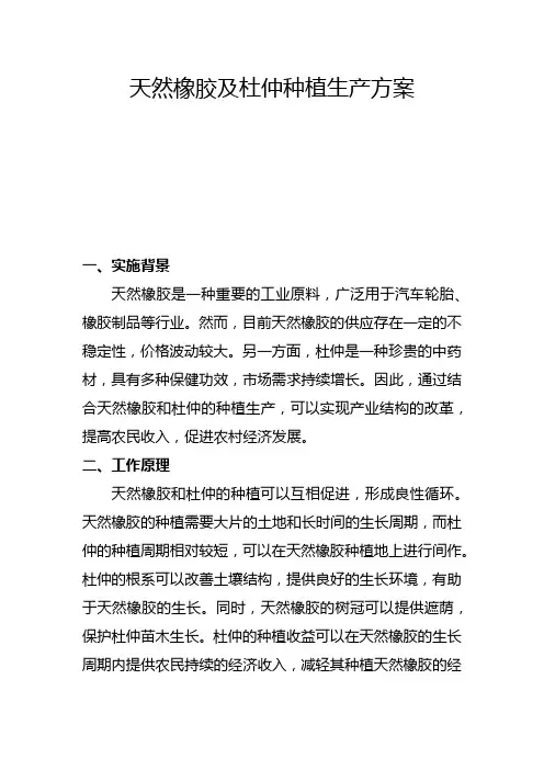 天然橡胶及杜仲种植生产方案(四)