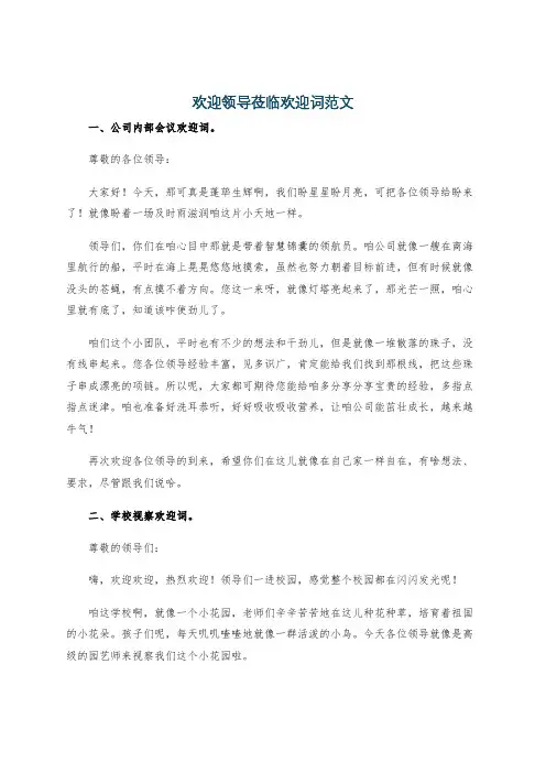 欢迎领导莅临欢迎词范文