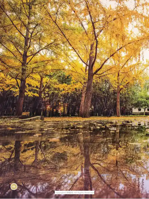 北京的四季