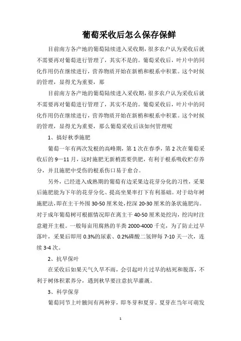 葡萄采收后怎么保存保鲜