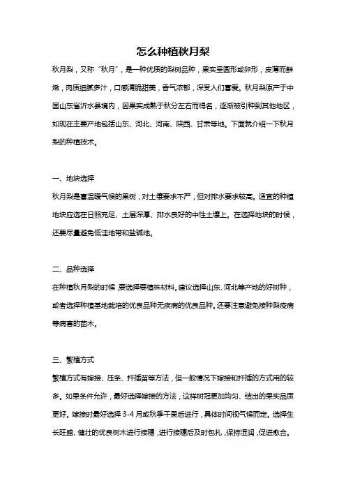 怎么种植秋月梨