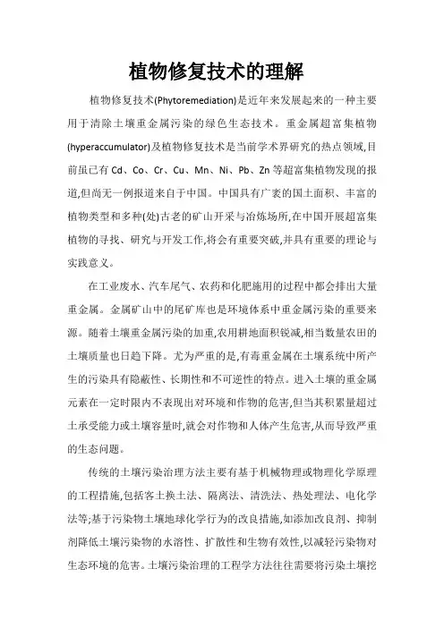 植物修复技术的理解