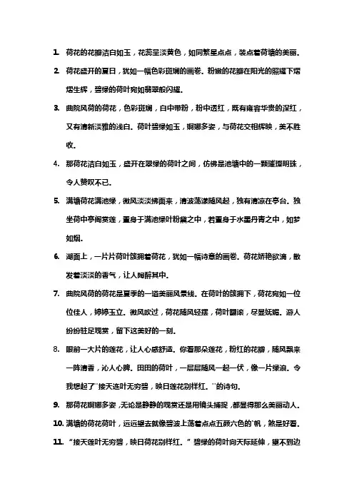 形容荷花的美景的好句