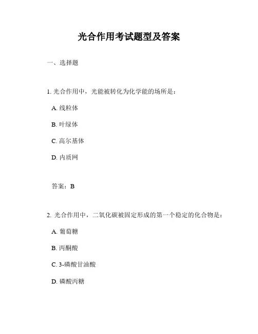 光合作用考试题型及答案