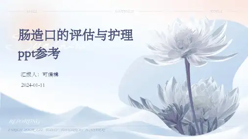 肠造口的评估与护理PPT参考