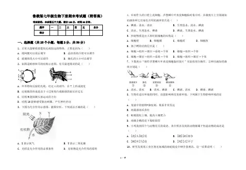 鲁教版七年级生物下册期末考试题(附答案)