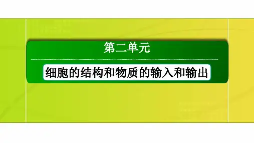 高考一轮复习人教版细胞器与生物膜系统课件
